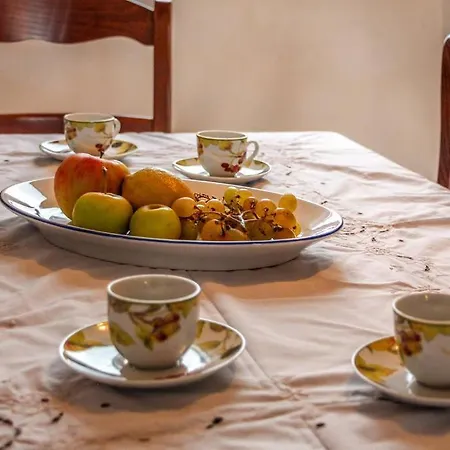 Apartmán Fico Veli Rat